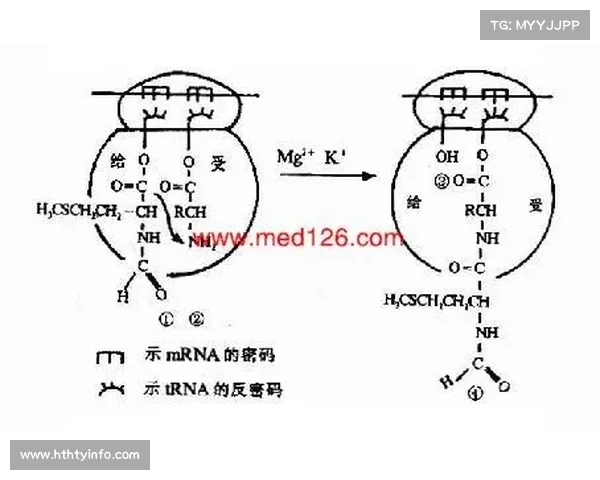 国际网联修订兴奋剂检测流程 引入生物护照追踪机制加强监管 国际网联修订兴奋剂检测流程 引入生物护照追踪机制加强监管